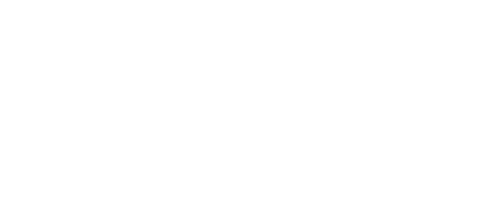 Canobie Lake Stewardship Alliance logo: a common loon riding stylized waves